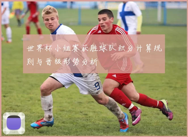 世界杯小组赛获胜球队积分计算规则与晋级形势分析