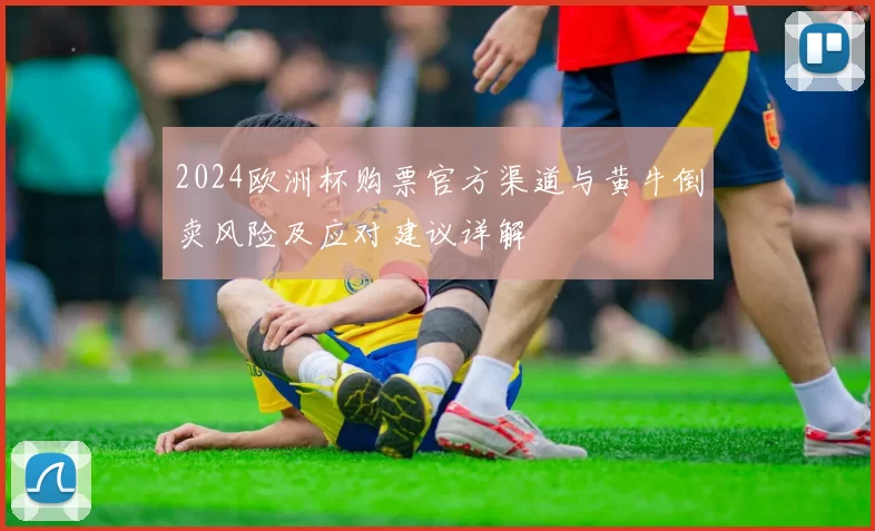 2024欧洲杯购票官方渠道与黄牛倒卖风险及应对建议详解