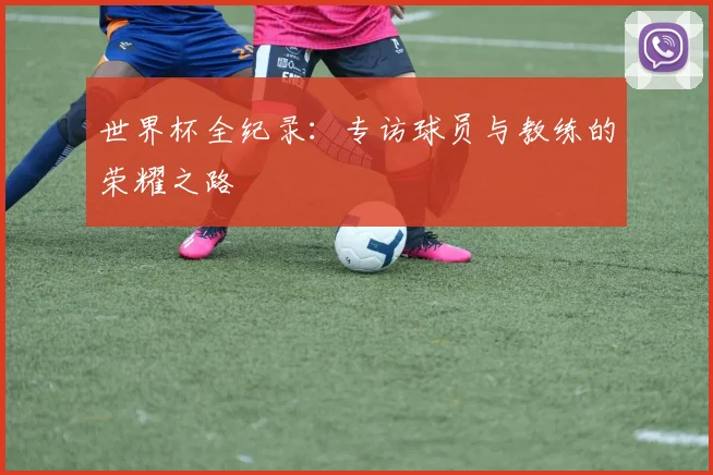 世界杯全纪录：专访球员与教练的荣耀之路