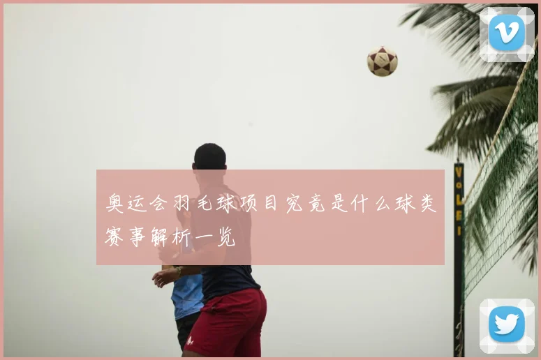 奥运会羽毛球项目究竟是什么球类赛事解析一览