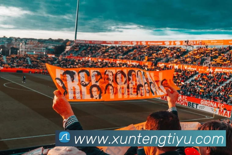 App Interface Preview